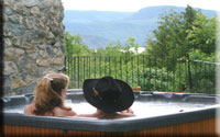 Hot Tub Spa