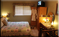 To The Point Suite and Private Garden Area